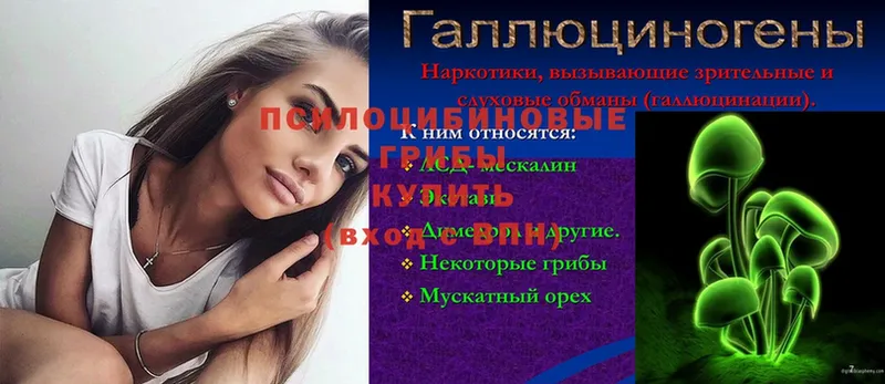 купить  сайты  Канаш  Псилоцибиновые грибы мицелий 